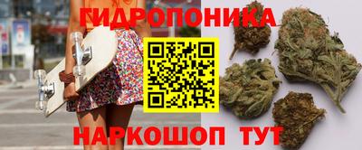 spice Севастополь