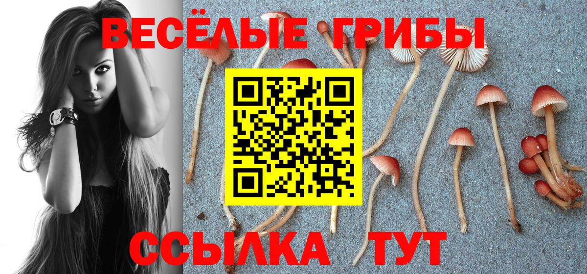Псилоцибиновые грибы Psilocybe Арсеньев