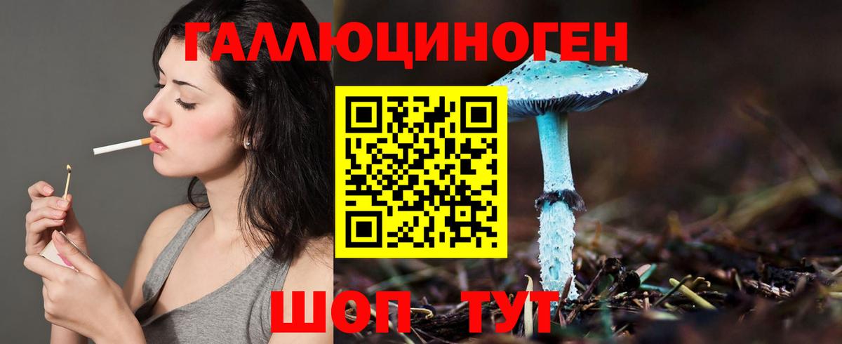 Арсеньев  Галлюциногенные грибы GOLDEN TEACHER  Псилоцибиновые грибы мухоморы  Вход с VPN 